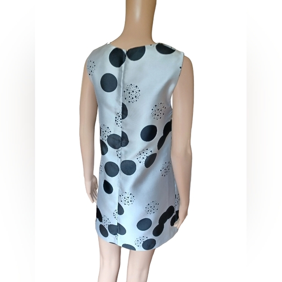 LANACAPRINA Womens Sleeveless Polkadot Aline Tunic Dress Knee Length Size Small - Picture 6 of 11